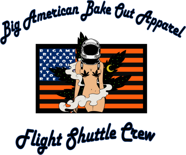 Space Shuttle Astronut Image